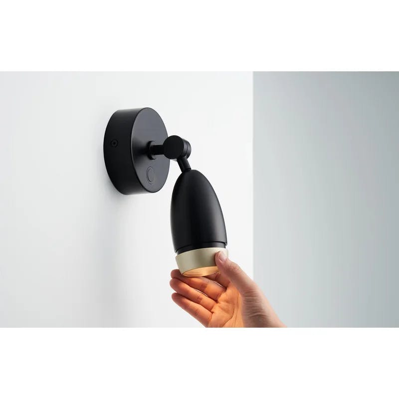 Dawn Horizon Black Steel Dimmable Wall Sconce with Champagne Gold Shade