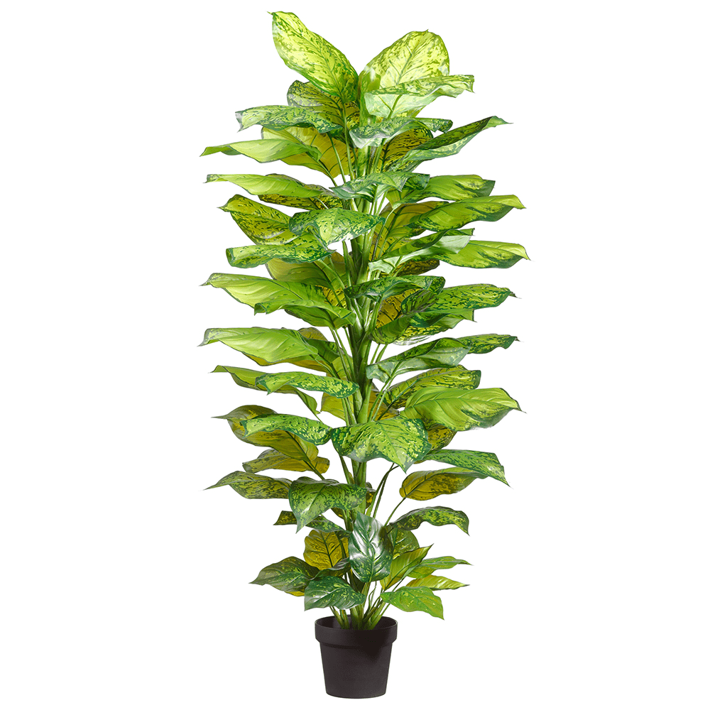 Lifelike Two-Tone Green Dieffenbachia 52" Artificial Plant in Black Pot