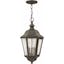 Edgewater Elegance 3-Light Oil Rubbed Bronze Outdoor Hanging Lantern with Clear Seedy Glass