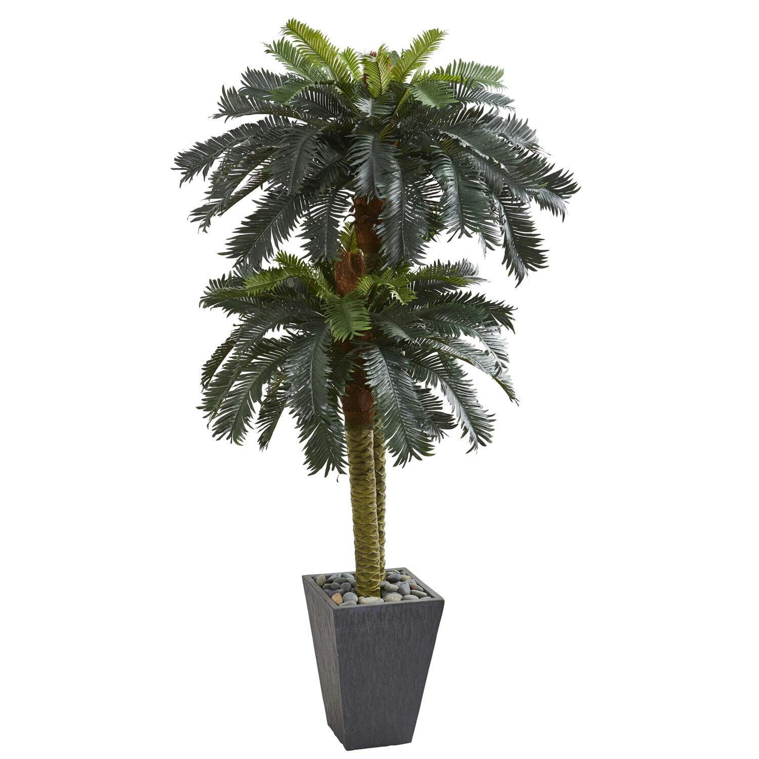 Tropical Mirage 6' Double Sago Palm in Gray Slate Planter