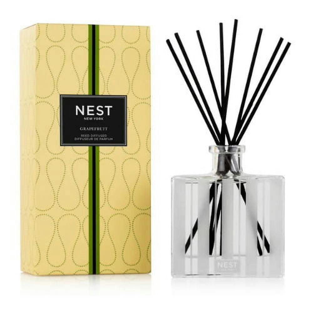 Frosted Glass Citrus Fruity Reed Diffuser with Alcohol-Free Essence