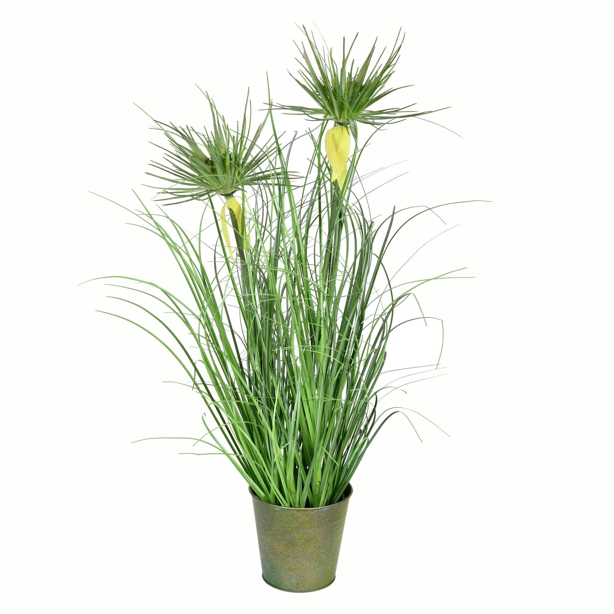 Twinkling 24" Outdoor Potted Grass Arrangement with Cyperus Heads