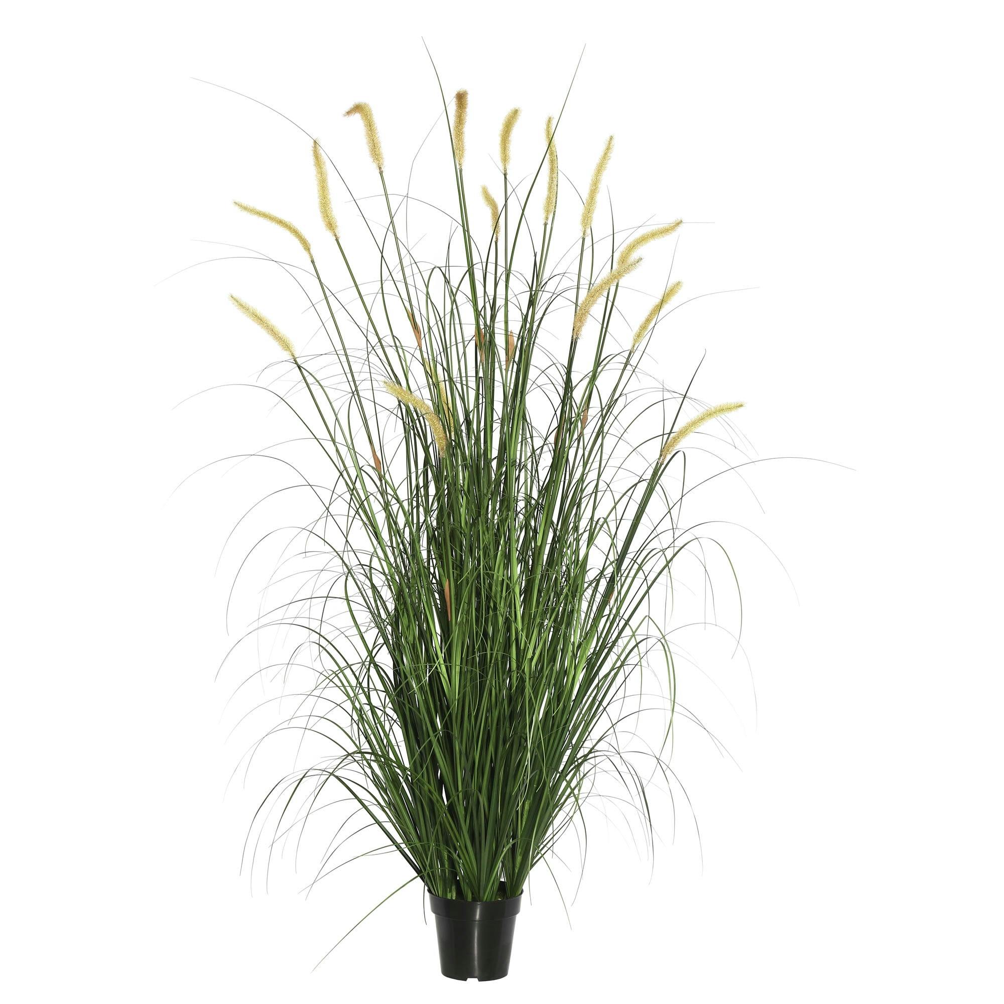 Summer Elegance 48" Outdoor Faux Foxtail Grass in Black Plastic Pot