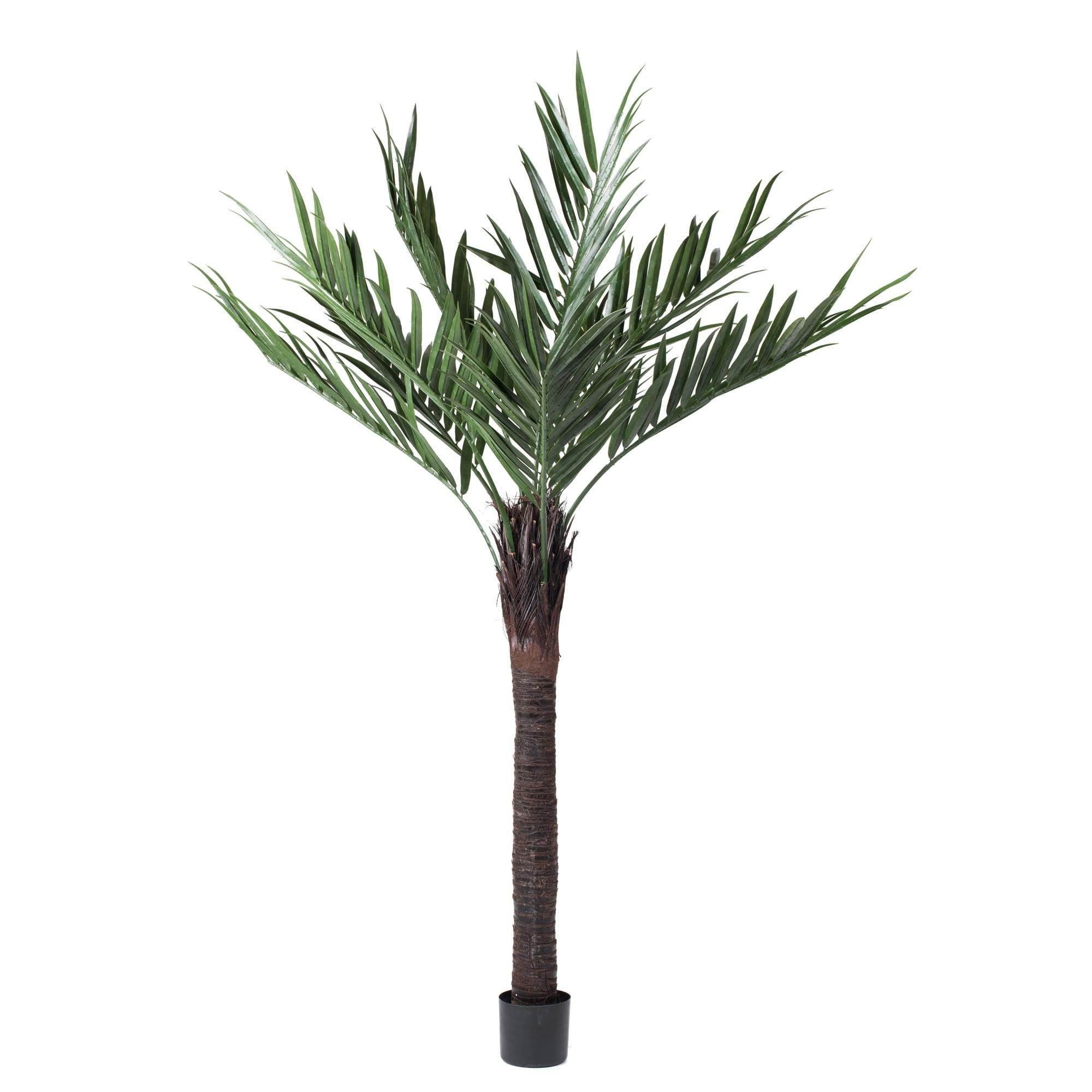 Lush Green 72" Silk Kentia Palm in 12" Black Plastic Pot