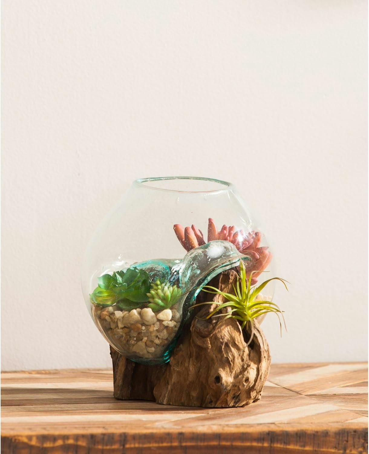 Elegant Driftwood & Glass Planter for Outdoor and Indoor Decor