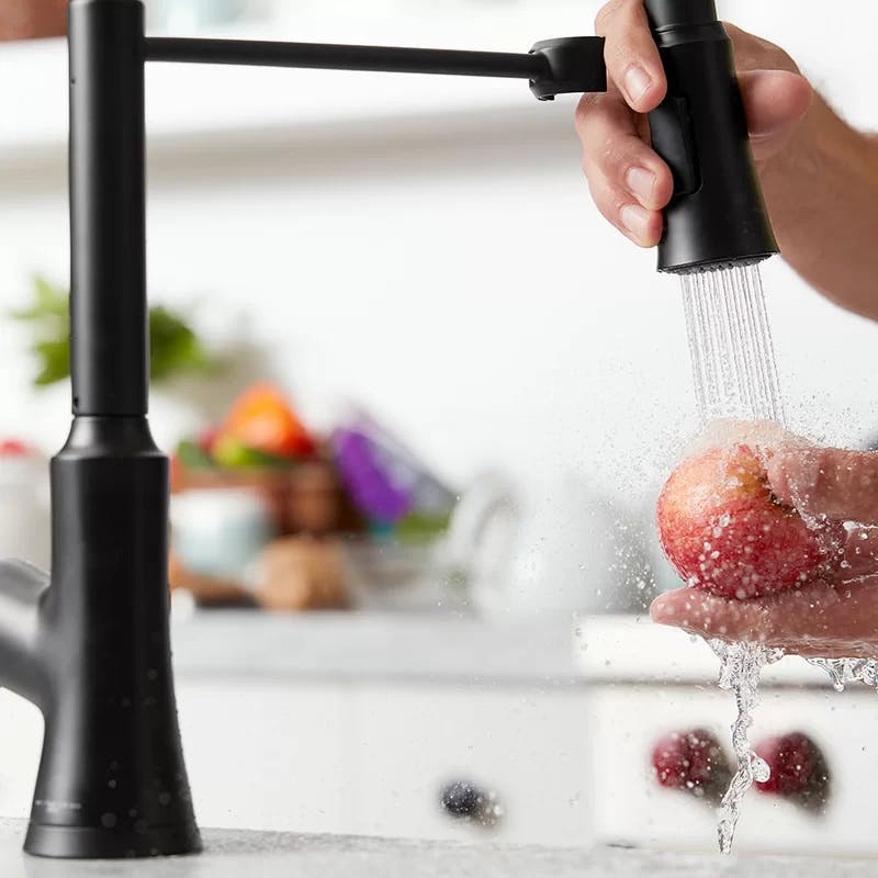 Joleena Matte Black 19" High-Arc Pull-Out Spray Kitchen Faucet