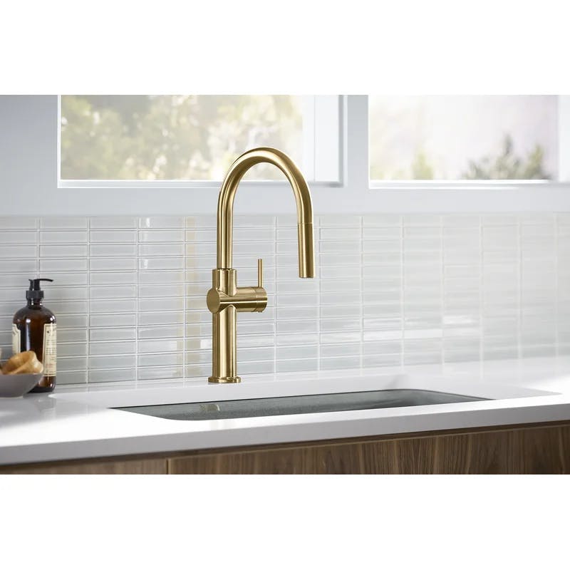 Sophisticated Moderne Brass Regular Kitchen Faucet with Pull-out Spray
