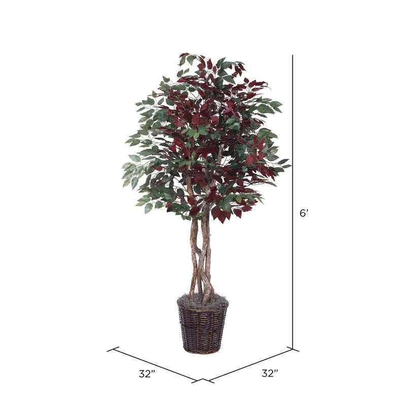 6' Luxe Silk Capensia Tree in Dark Brown Rattan Basket