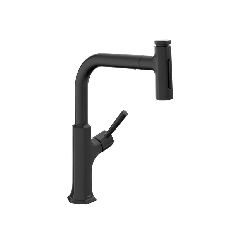 Locarno Matte Black Single Handle Pull-out Spray Kitchen Faucet