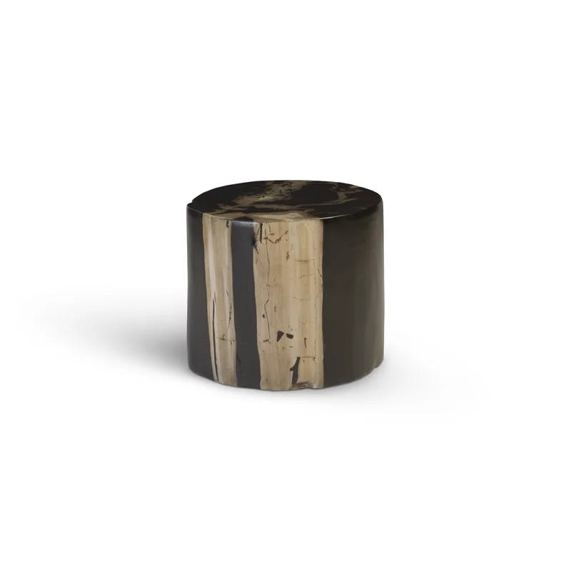 Modern Organic Brown Round Resin Cast Petrified Wood Stool