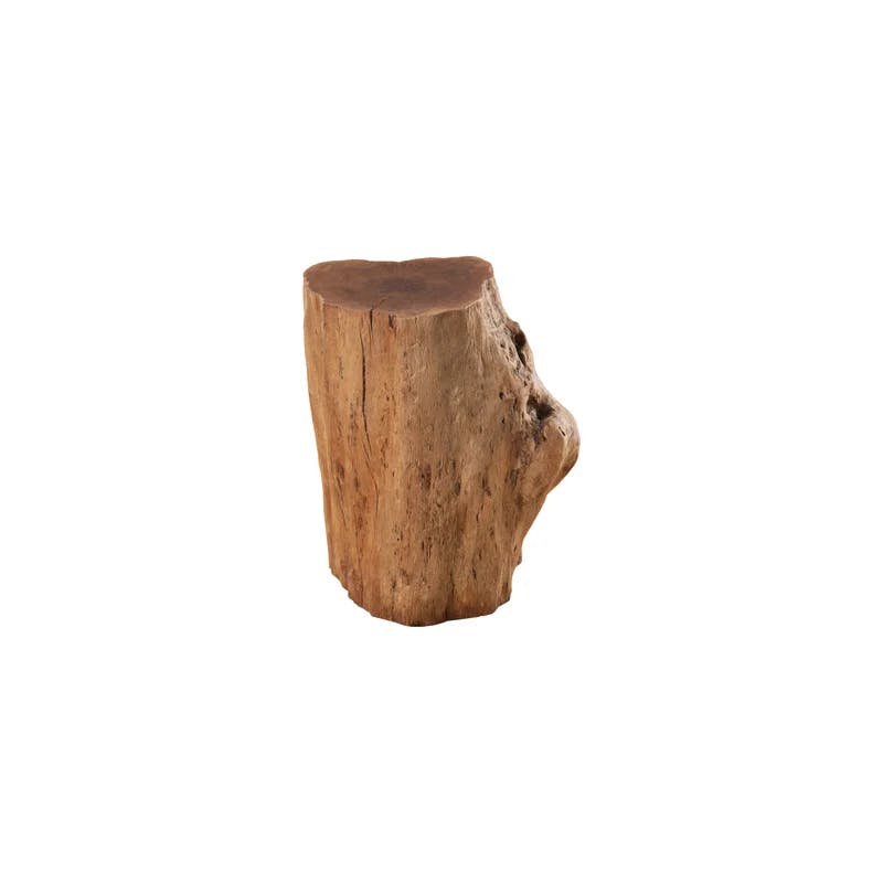 Contemporary Longan Wood Stool in Varied Shapes - 13"x10"x18"