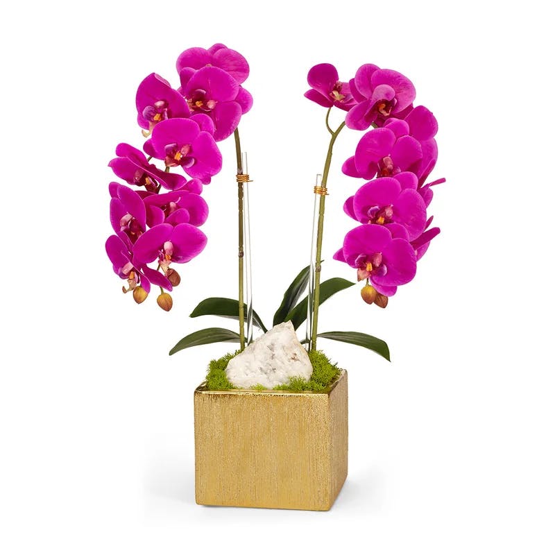 Elegant Green Orchid 21'' Floral Arrangement in Ceramic Planter