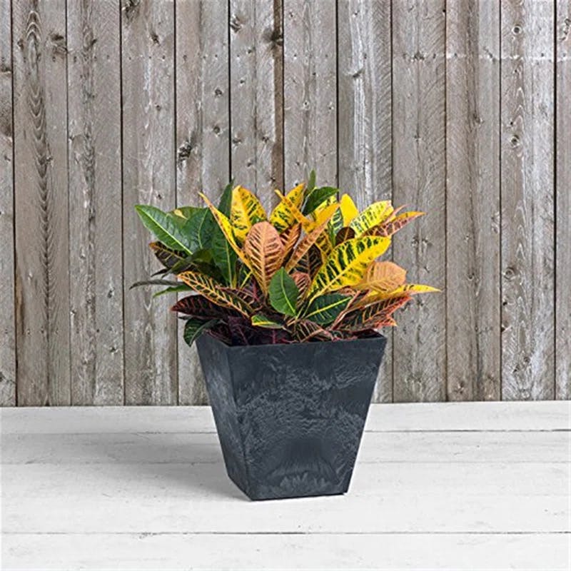 Ella Square Black Resin Planter for Indoor and Outdoor Use