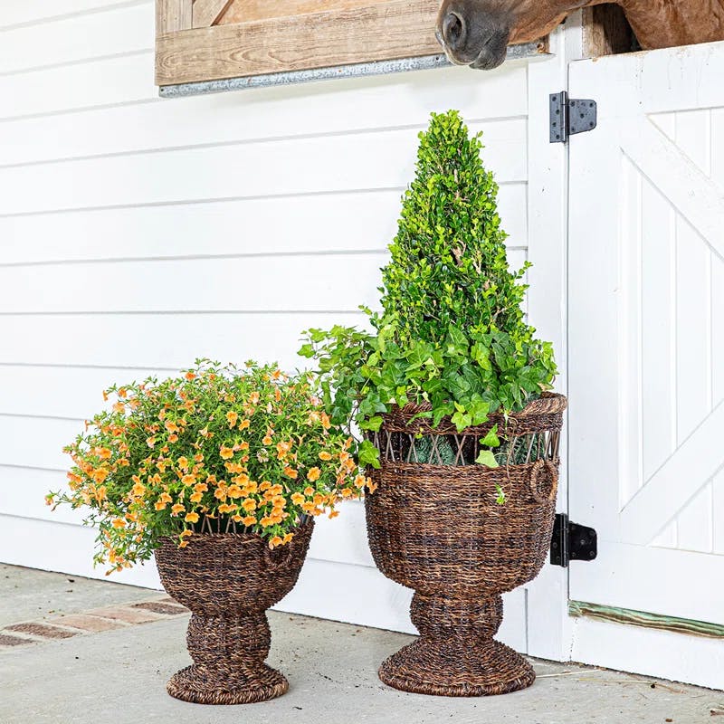 Devon Willow 18'' Natural Wicker Urn Planter for Indoor & Outdoor
