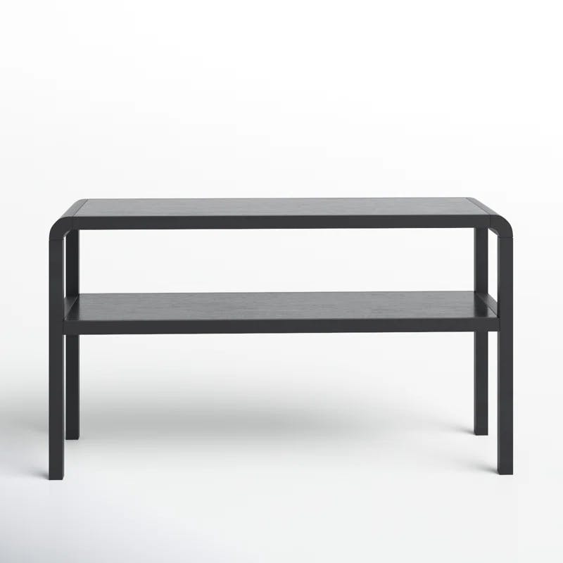 Omara Sleek Black Solid Wood 53'' Modern Console Table with Storage
