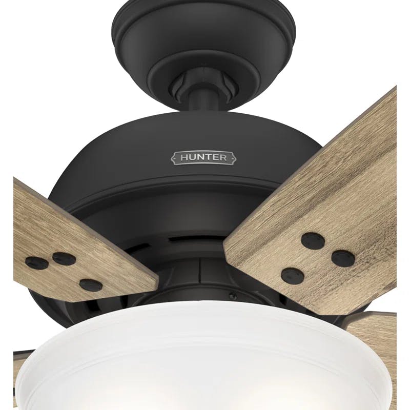 Rustic 60" Matte Black Ceiling Fan with LED Light & WhisperWind Motor