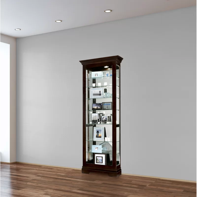 Saloman Traditional Lighted Curio Cabinet in Rich Brown