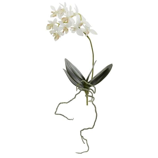 Elegant Silk Tabletop Orchid Arrangement in White - Set of 6