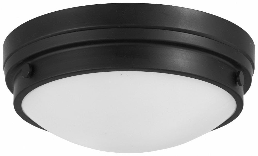 Coal Finish Dual-Light Indoor/Outdoor Flush Mount with Clear Glass