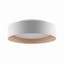Lynch Contemporary 15.75" Frosted Glass White Flush Mount Ceiling Light