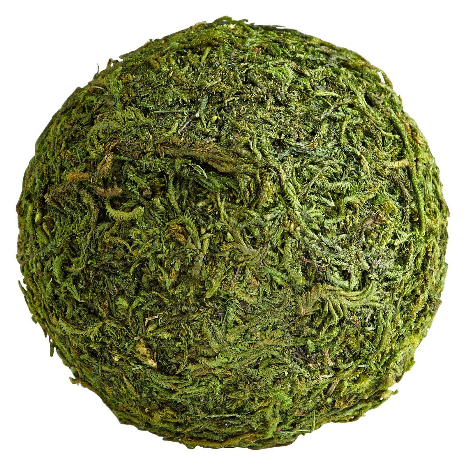 Contemporary Green Moss Sphere 5" Decorative Orb