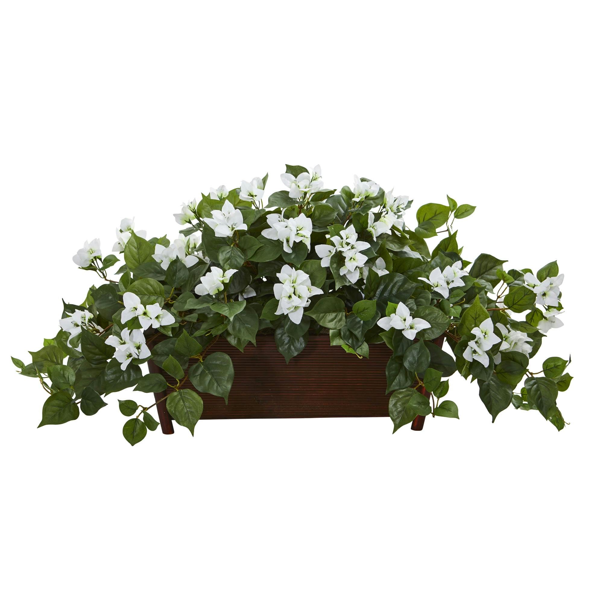 Summer Vibrance 32" Outdoor Potted Bougainvillea Arrangement in White
