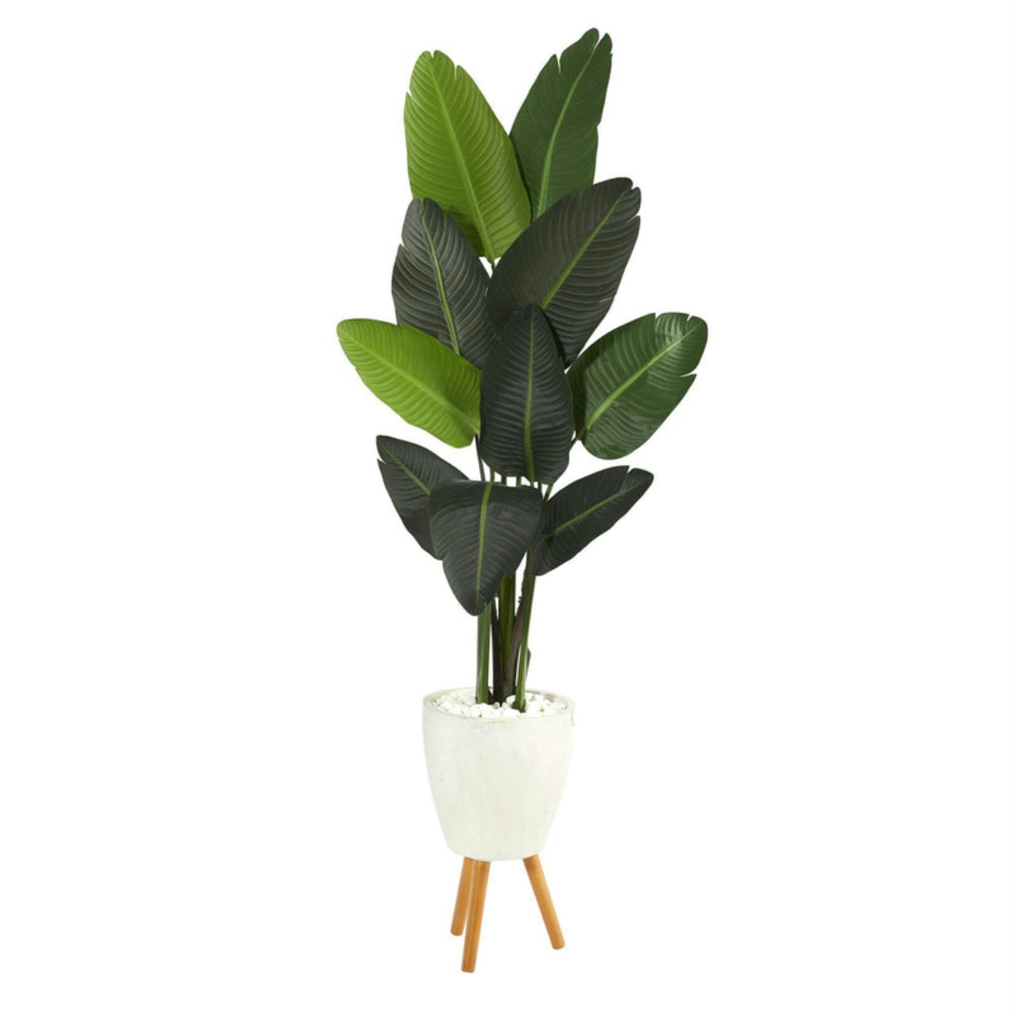 Lush Green 50" Fiddle Leaf Fig in Sleek Metal Planter