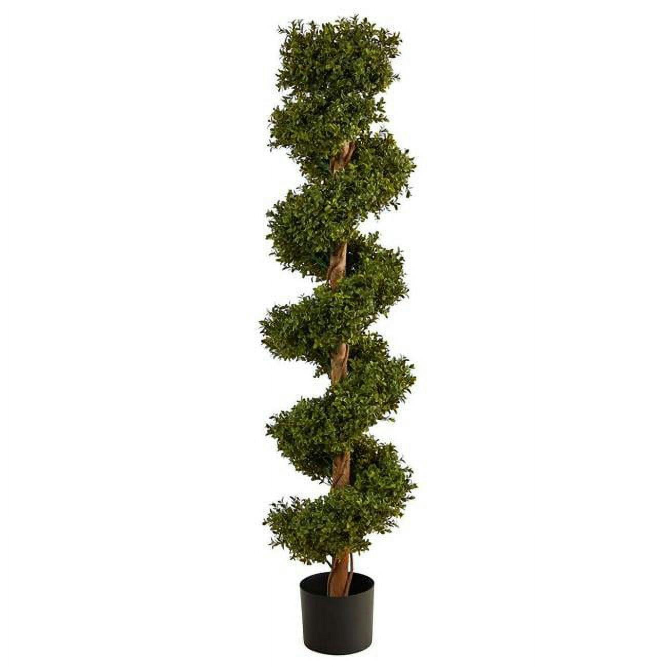 5ft Whimsical Boxwood Spiral Topiary in Black Planter