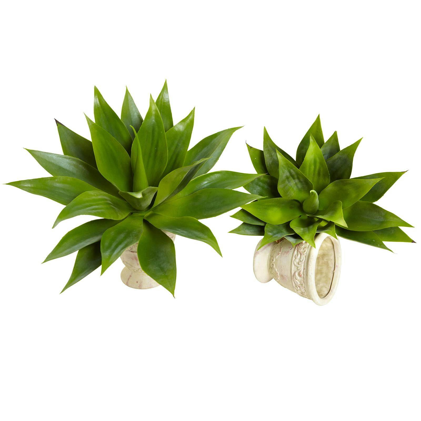 Tropical Twist 22.5" Silk Agave Succulent Set in Plastic Pots