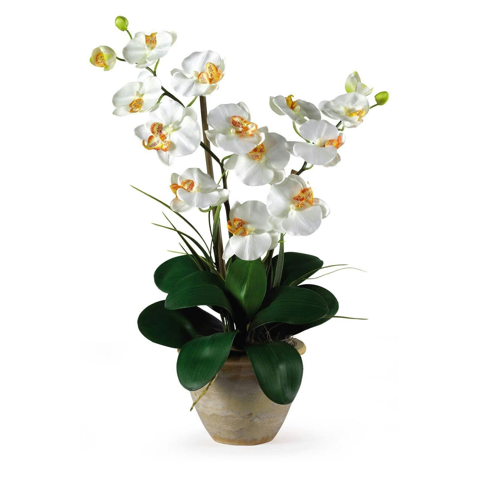 Orchid Bliss Cream 29" Outdoor Tabletop Silk Potted Orchid