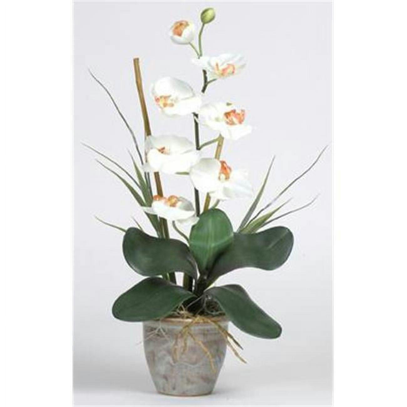 Elegant Orchid Cream Silk Tabletop Arrangement in Stylish Ceramic Pot