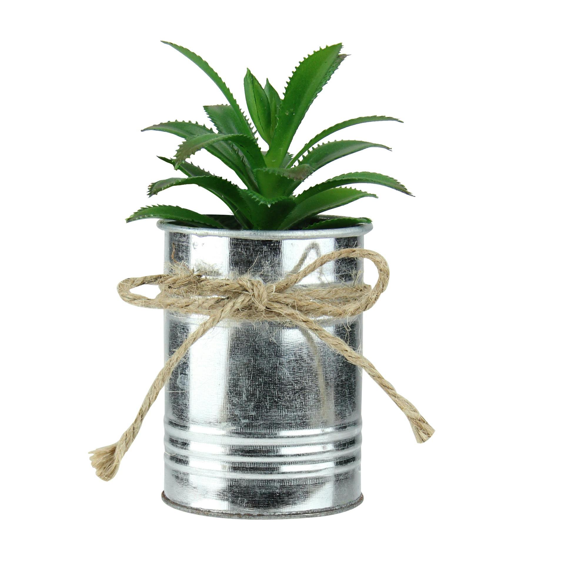 Festive 6" Mini Potted Green Succulent in Silver Tin Planter