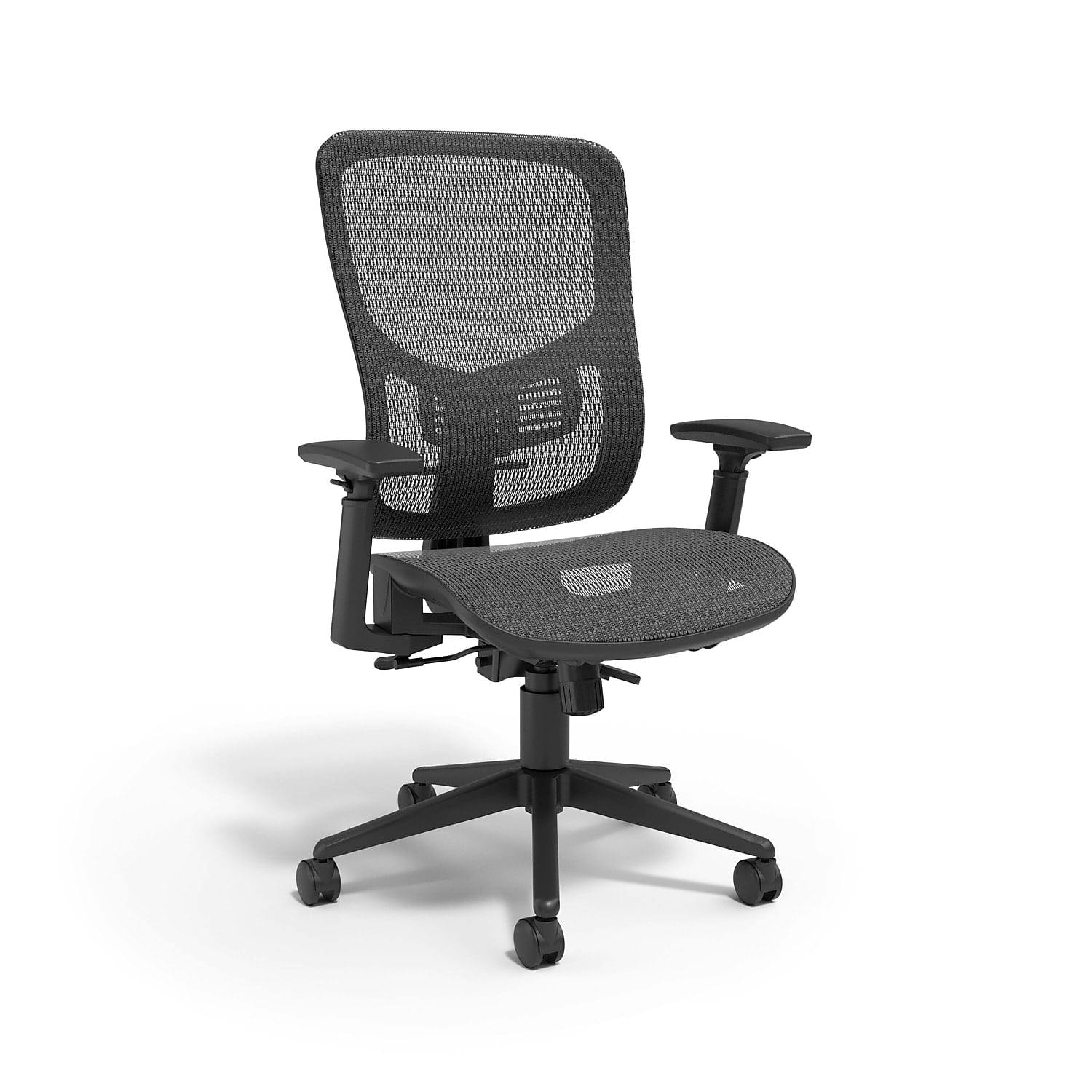 ErgoFlex Black Mesh Adjustable Swivel Task Chair
