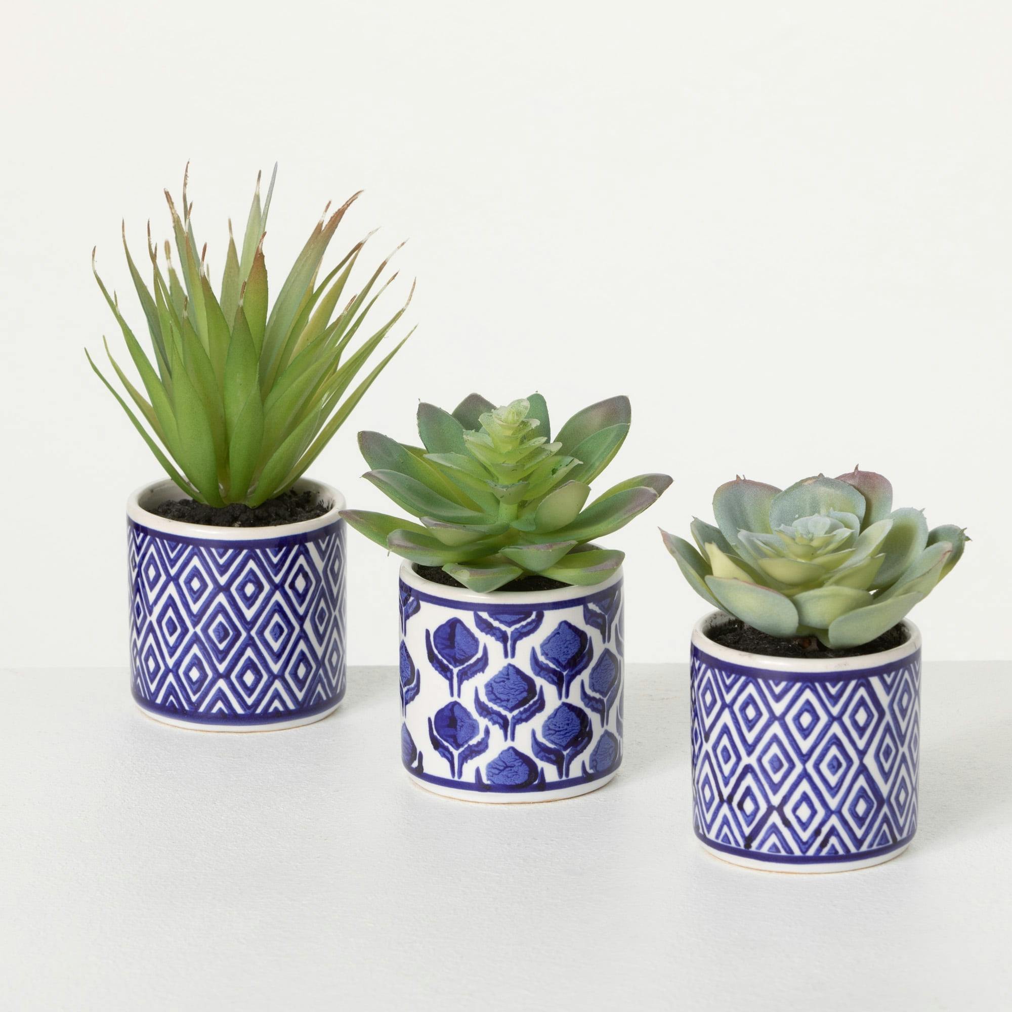 Spring Essence Trio of Artful Succulents in Patterned Pots