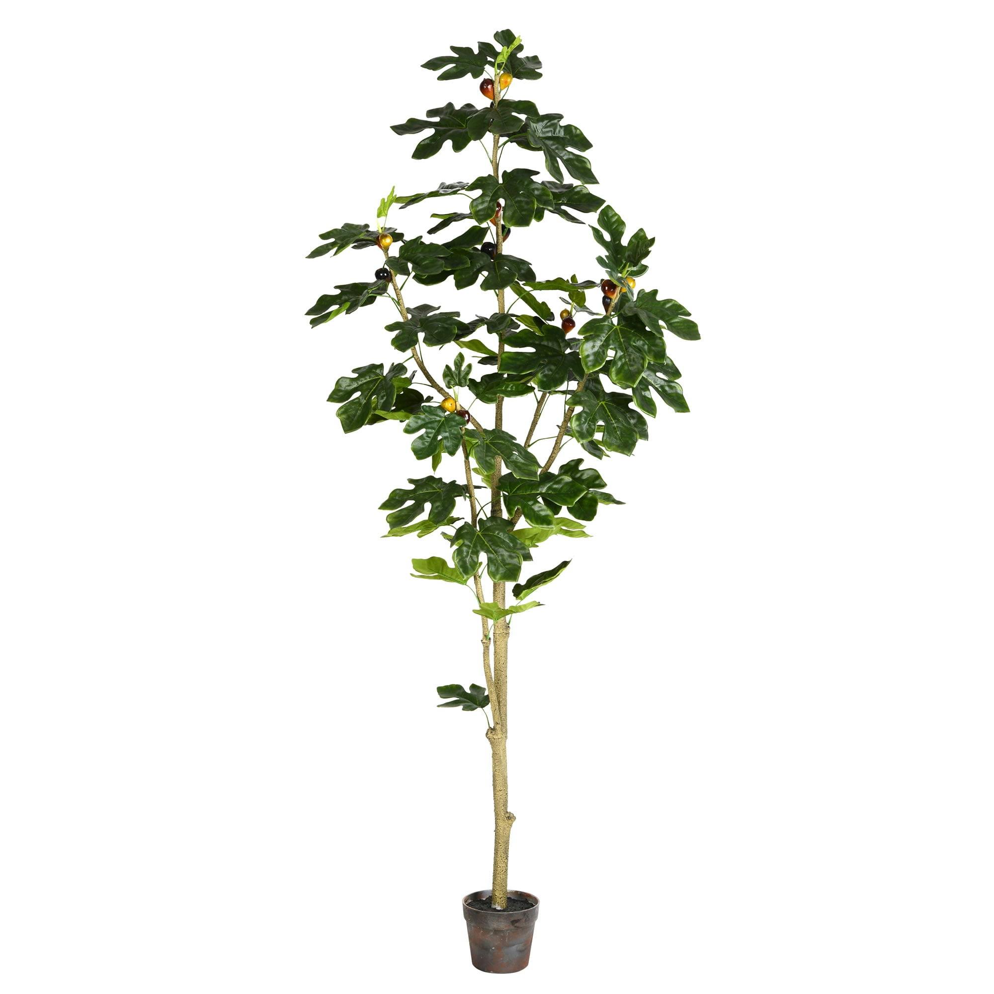 Festive 6' Lush Green Plastic Potted Fig Tree for Outdoor Christmas Decor