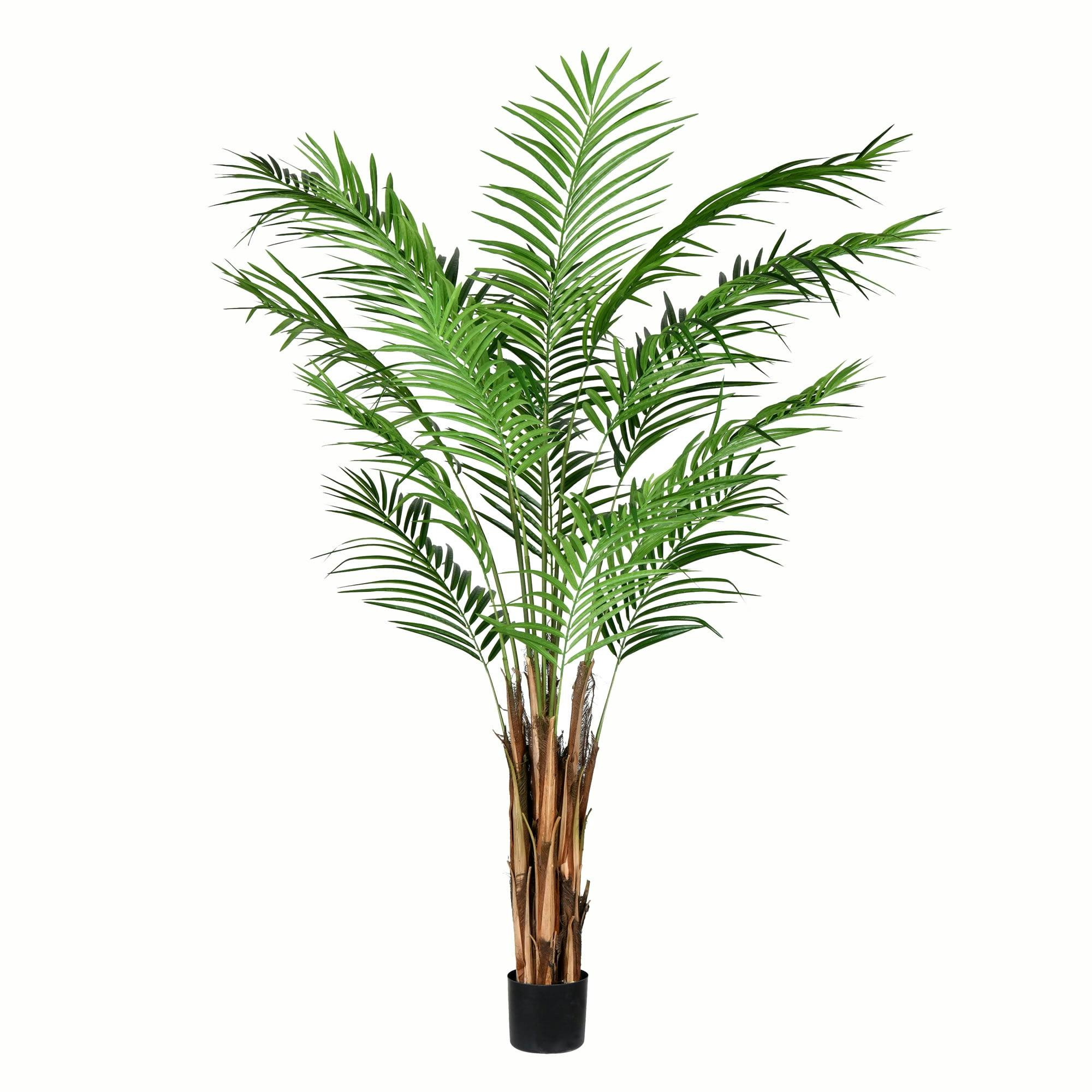 Tropical Oasis 6' Faux Areca Palm in Sturdy Black Planter