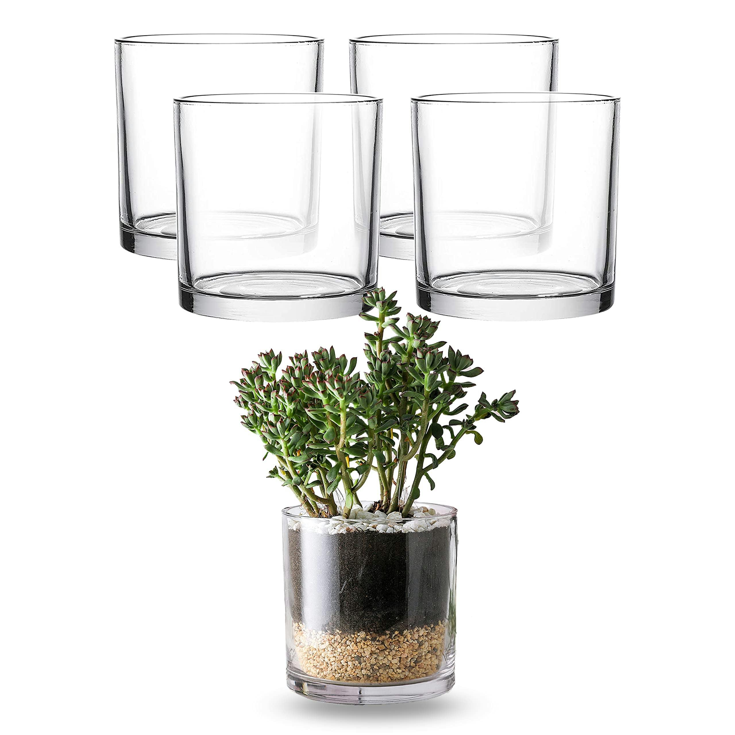 Elegant Clear Glass Cylinder Vase for Chic Floral Arrangements