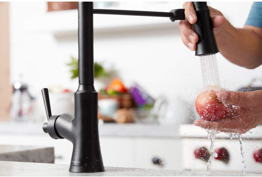 Joleena Matte Black 19" High-Arc Pull-Out Spray Kitchen Faucet