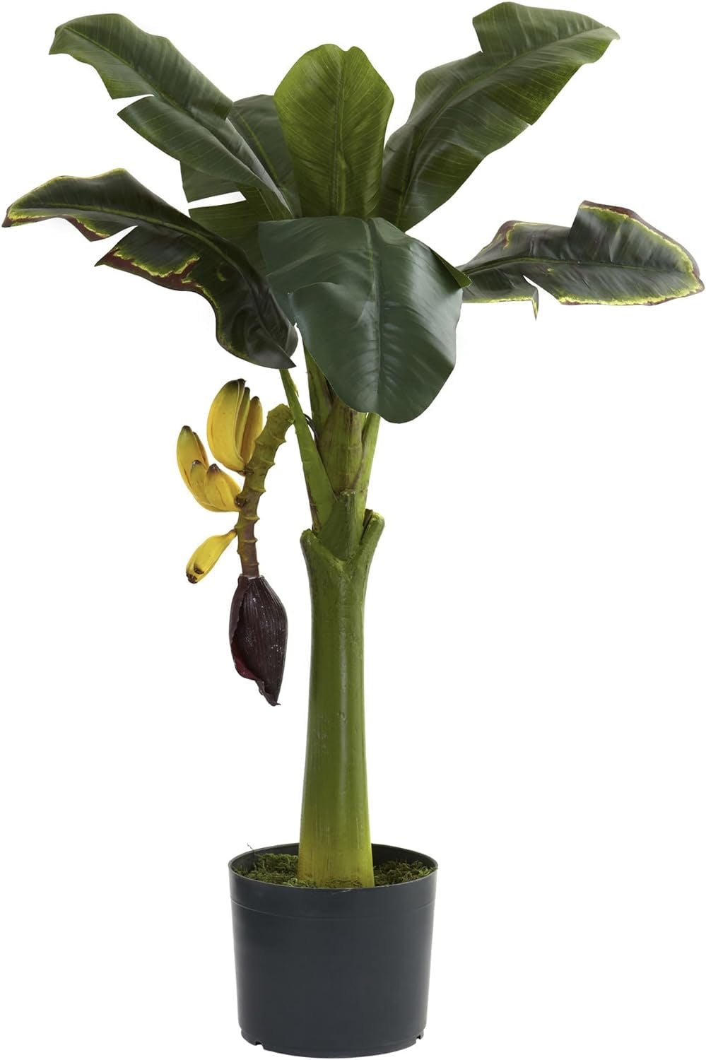 Lush Green 37" Faux Banana Tree in Silk and Plastic Pot
