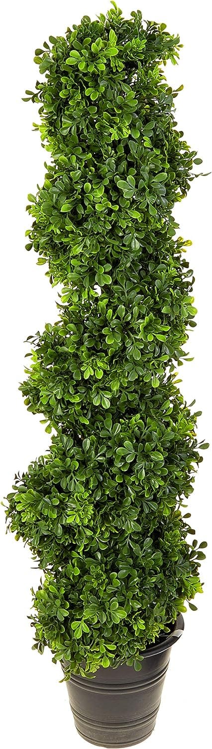 Elegant Spiral Boxwood Topiary in Planter, 4ft Outdoor Classic