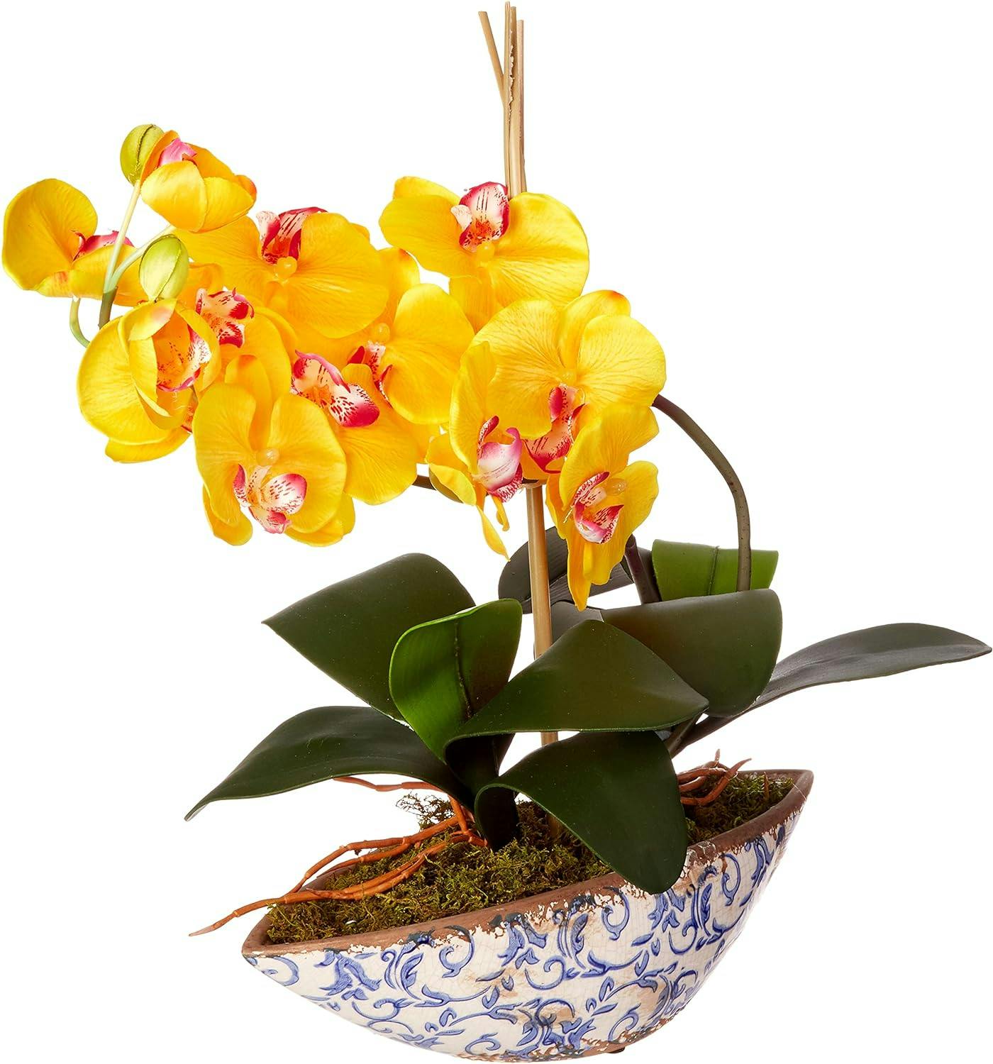Elegant Summer Orchid 18.5" Artificial Arrangement in Yellow