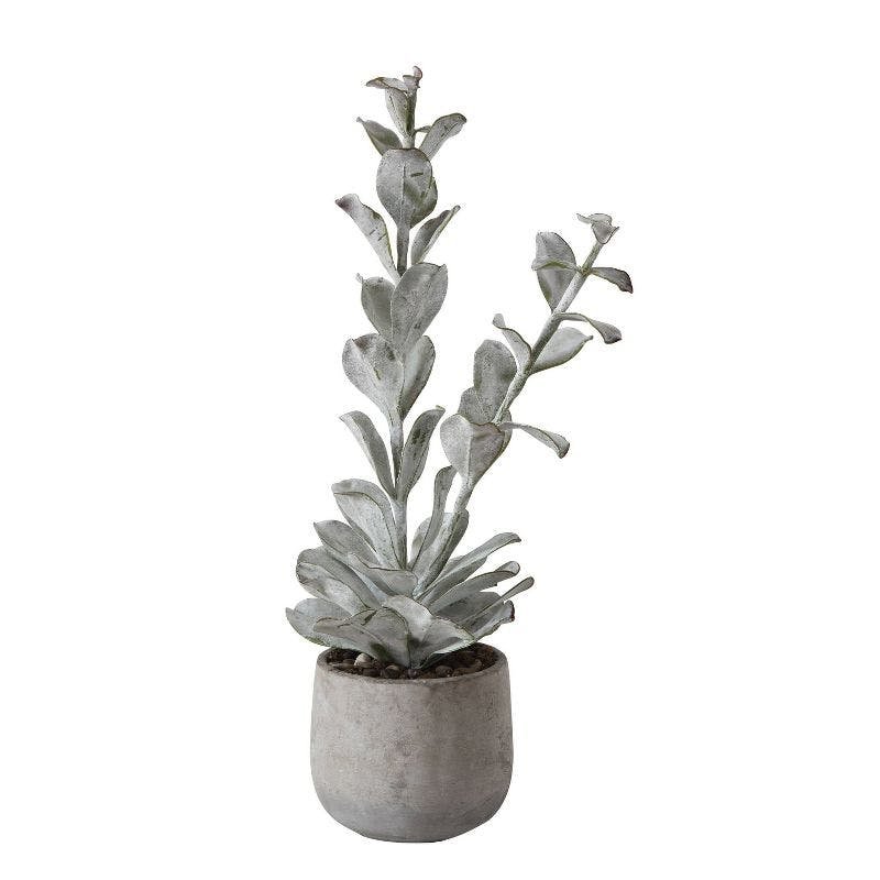 24'' Lifelike Tabletop Faux Succulent in Textured Cement Pot