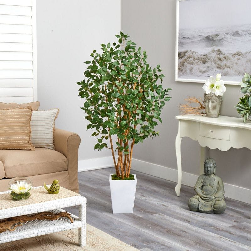 Elegant Lifelike Ficus Floor Plant in White Metal Planter, 71"