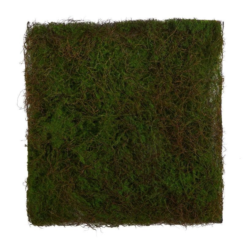 Elevated Serene Moss 20" Square Framed Artificial Wall Art