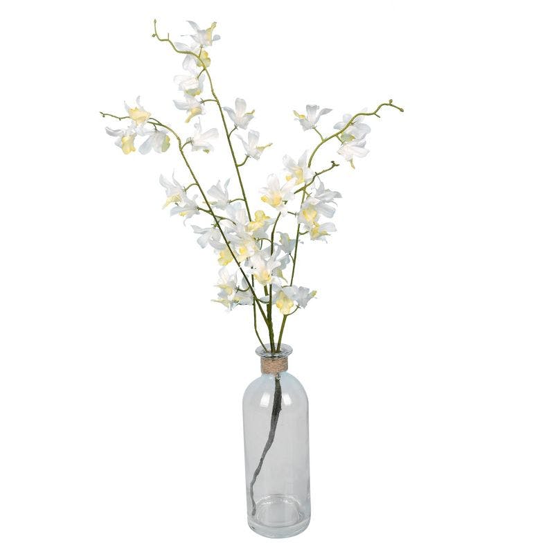 Elegant Tabletop Mini White Orchid in Sleek Glass Pot