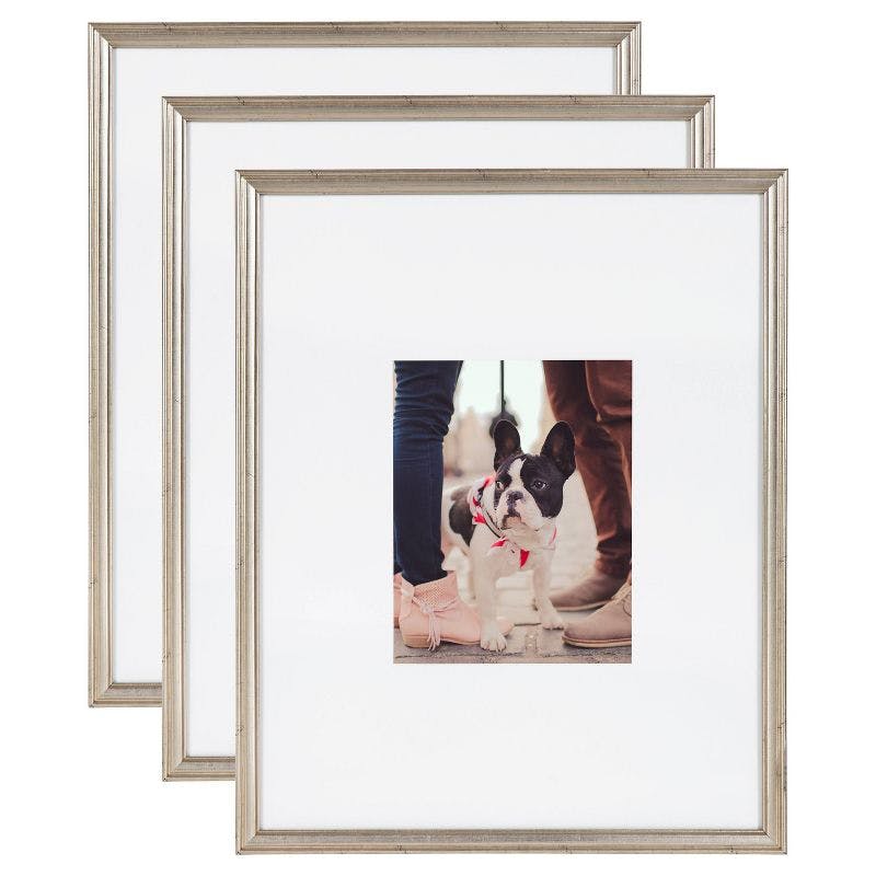 Elegant Silver Wall Picture Frame Set, 16" x 20" Matted to 8" x 10"