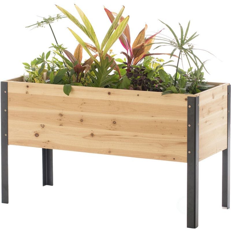 Elevated Solid Wood & Steel Outdoor Rectangular Planter, Natural