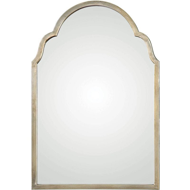Transitional Silver Champagne Oxidized 20"x30" Rectangular Wall Mirror