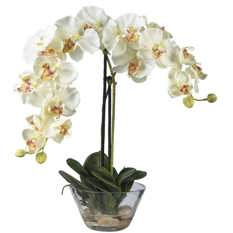 Orchid Elegance 29'' White Phalaenopsis Outdoor Tabletop Arrangement