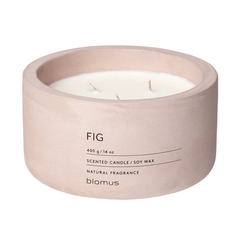 Fraga 5" Rose Dust Fig Scented 3-Wick Jar Candle